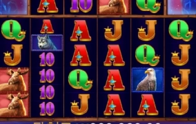 버팔로킹메가웨이 올만에 돌리니 재미있네요