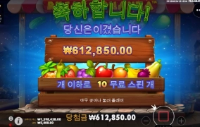 루작보난자 본전치기