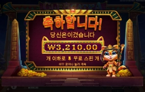 오늘은 고냥이도 안주네