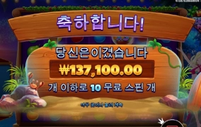 와일드비치 언니 잘놀고 갑니다