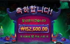 프라그마틱 인텍티브와일드