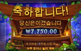 마법사 안주는군