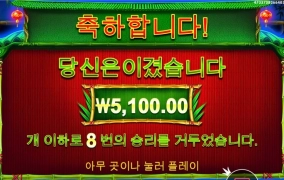 판다 마이너도 안주니