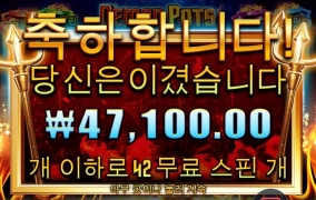 프라그마틱 42스핀인데 이게 전부인건가