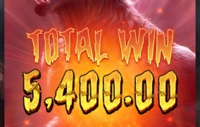 pg소프트 웨어울프