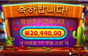 프라그마틱 핫페퍼 후기