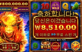 메이저도 하나 못먹어본거같은데