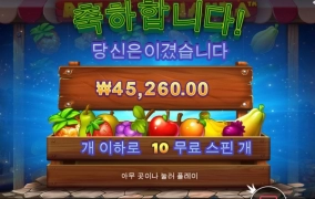200배당 조금 넘게 주고마넹