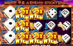 개집 주사위 굿~