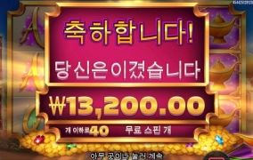 램프지니 스핀 40개에 이게 맞는건가