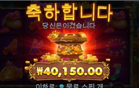 재미있는 트레져와일드