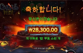 캐슬 파이어 구맷값 조금 넘게 주긴하네