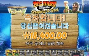 빅베스 황금털보