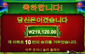 깔끔했다 판다야