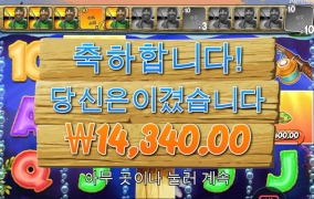 벌써 시간이 이렇게 됐네