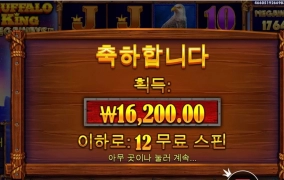 프라그마틱 버메가 후기