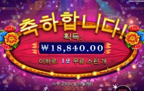 핫피 와일드 너무 늦게 꽂아주네