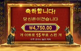 마이트오브라 풀업도착