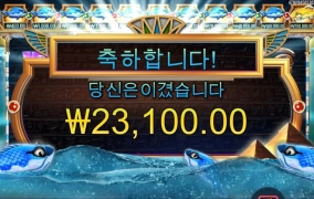 피씨아이 바닥 보너스