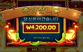 칠리메가 아이템 실종