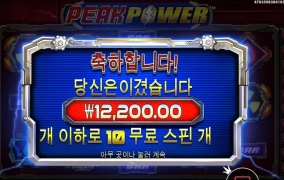 내가 아끼는 피크 파워