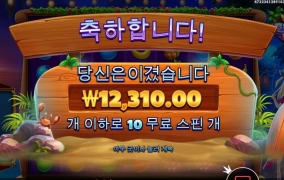 내사랑 비키니누이