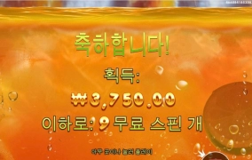 쥬시후르츠 바닥 보너스~