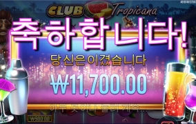 프라그마틱 트로피카나 레벨 올리기 어려워