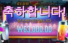 트로피카나 바닥보너스