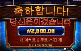 프라그마틱 머스탱