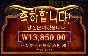 프라그마틱 흑우 블랙불