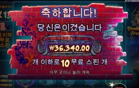 프라그마틱 큰 개집