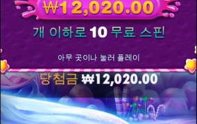 스위트 하지않는 보난자