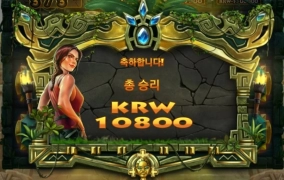 플레이앤고 캣와일드