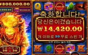 섭섭하다 파이어스탬프