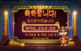 클레오 냥트라 480배 꿀달달