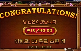 돌리판 2배수 아깝네