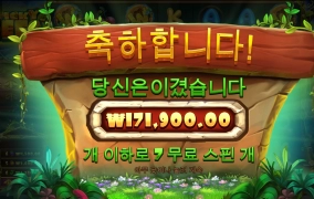 스티즈 비즈 후기