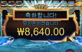 피씨아이 파라오 실종되서 안보여