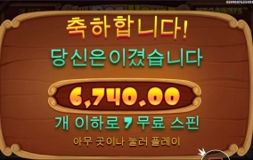 도그메가 와일드 넘 늦게 꽂네