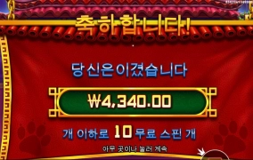 펫판다 와일드 많이 깔아도 크게 안터져