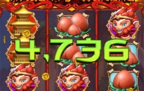 하바네로 노티 몽키