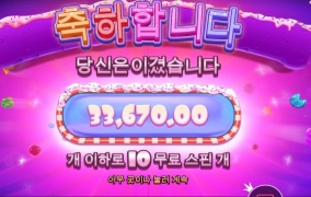 프라그마틱 슈가러쉬 추스좀 주지