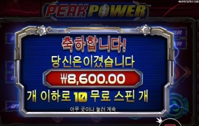 비싼거 스핀구매했는데