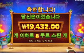 트로피칼 티키 구맷값은 주네요