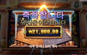 심볼 비싼거는 다 피해가