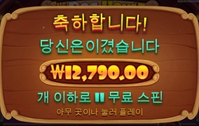 프라그마틱 개집 120바퀴만에 진입성공