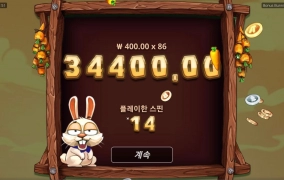 노리밋시티 버니즈