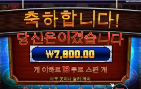 프라그마틱 머스탱