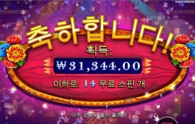 좋은기억 많은 핫피에스타